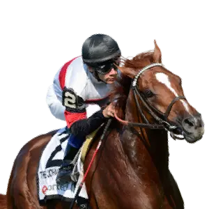 Sports Betting